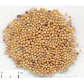 100% pure natural White Mustard Seed Extract Semen Brassicae Sinapi alba L. P.E